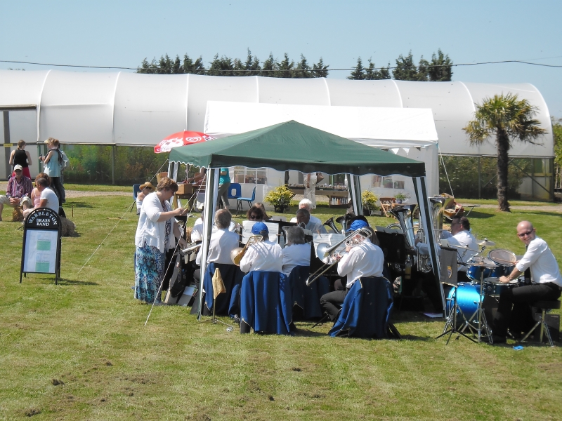 Lime Cross Pinetum & Secret Vineyard